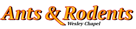 Wesley Chapel Ant Exterminator & Rodent Control Company Logo